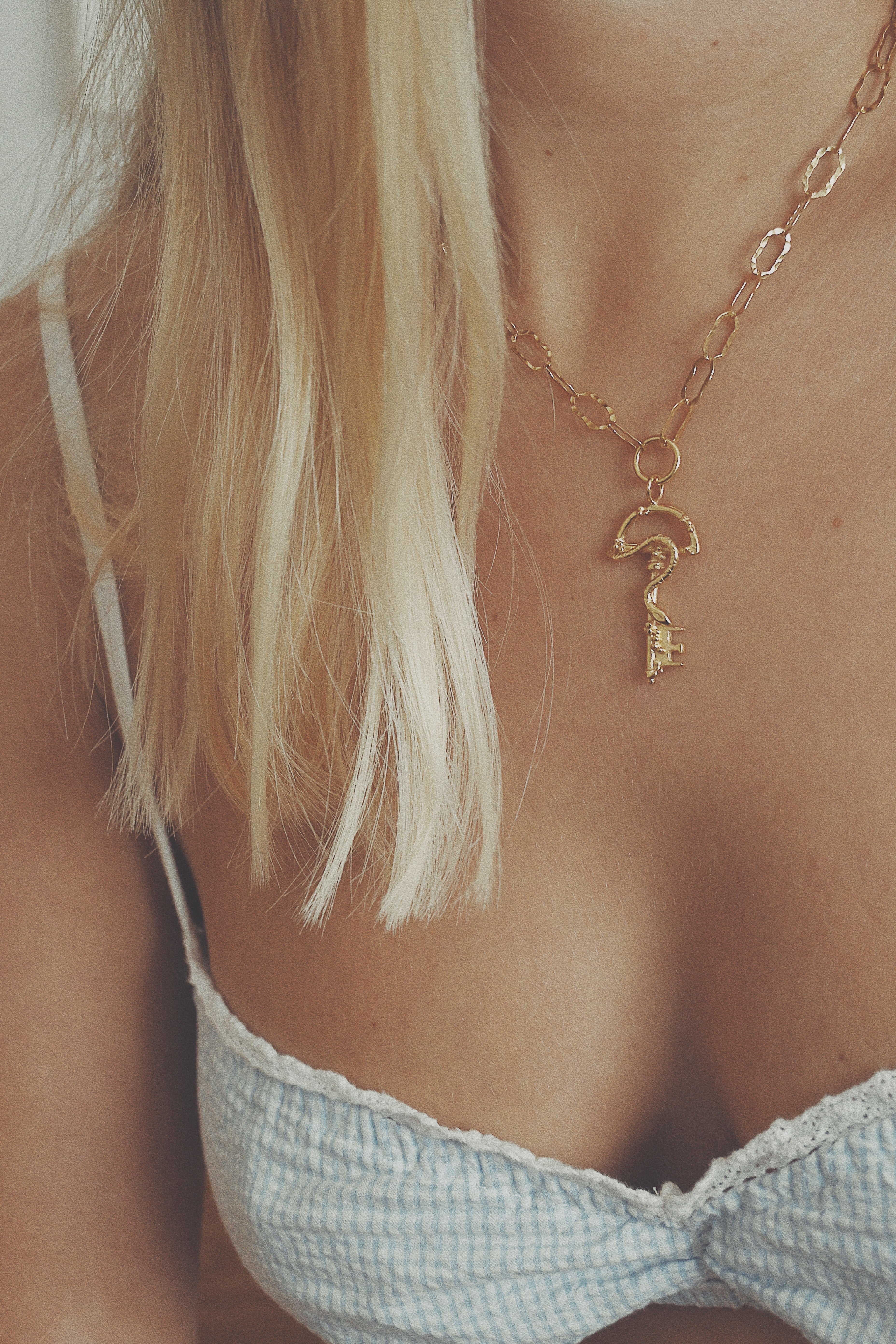 Snake Key Necklace
