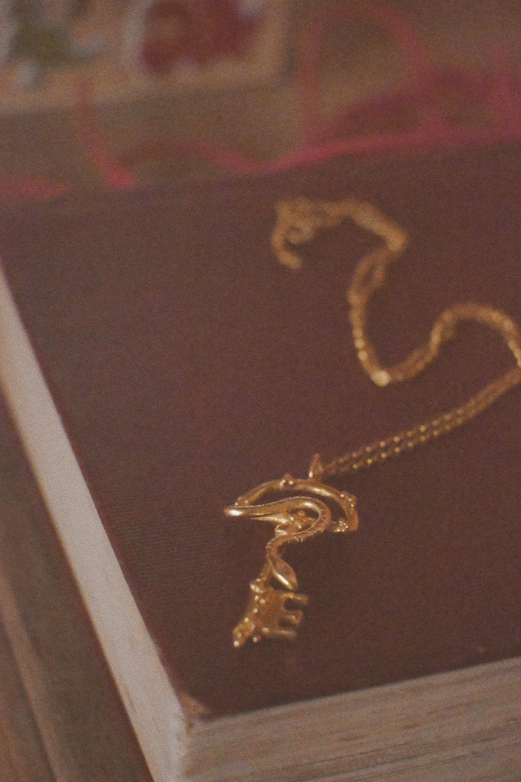 Snake Key On Belcher Chain
