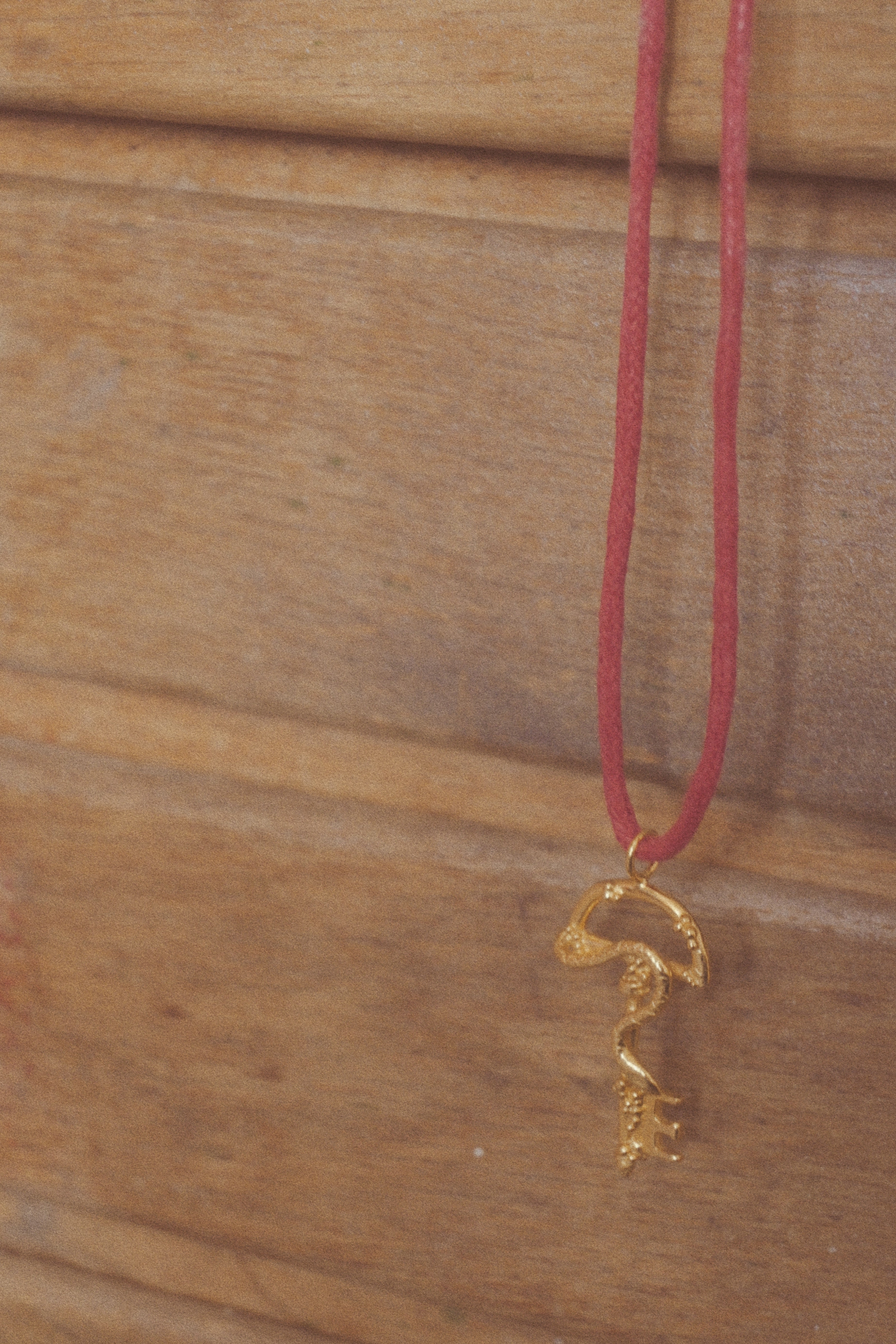 Snake Key Or Forever Sacred On Red Cord