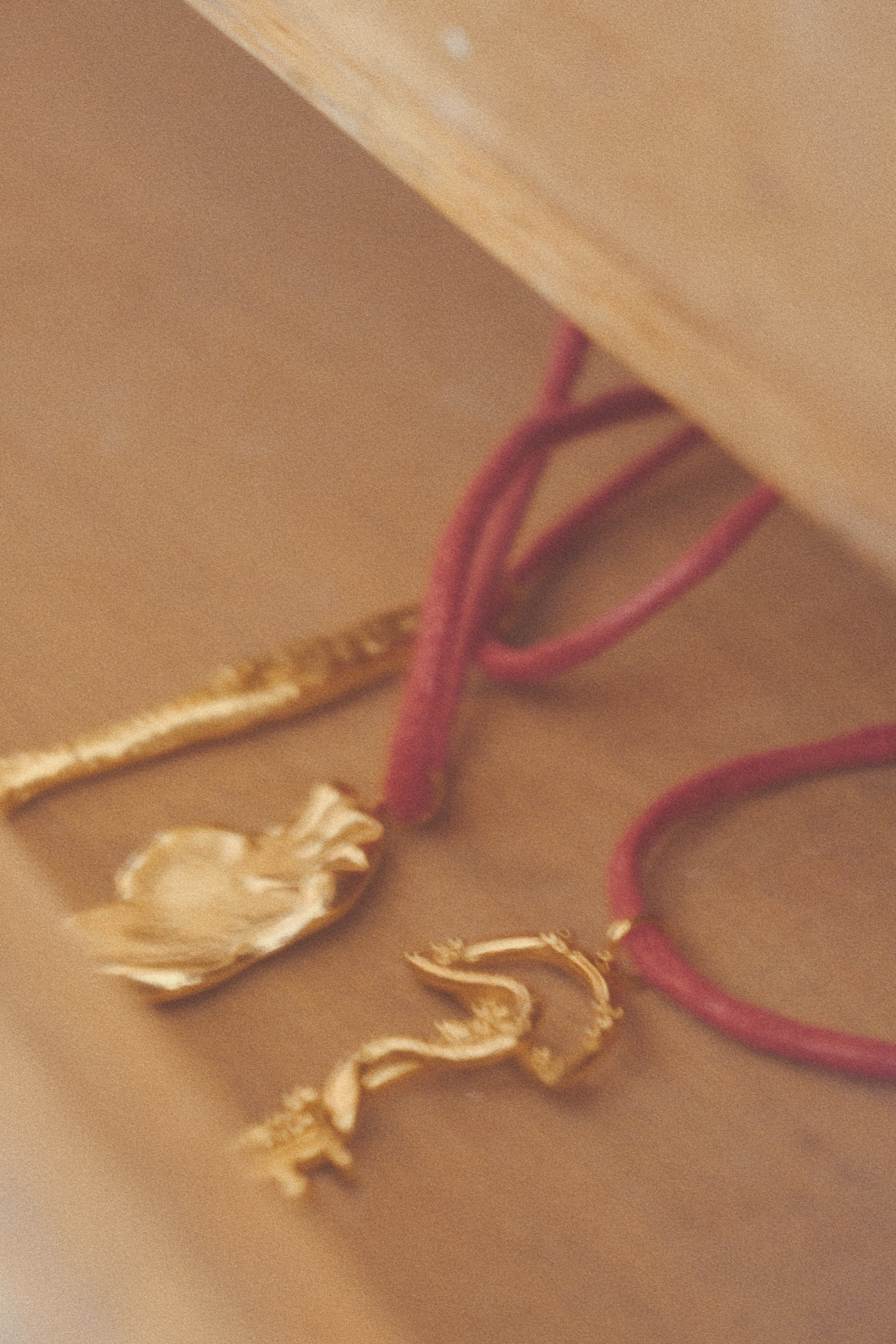 Snake Key Or Forever Sacred On Red Cord